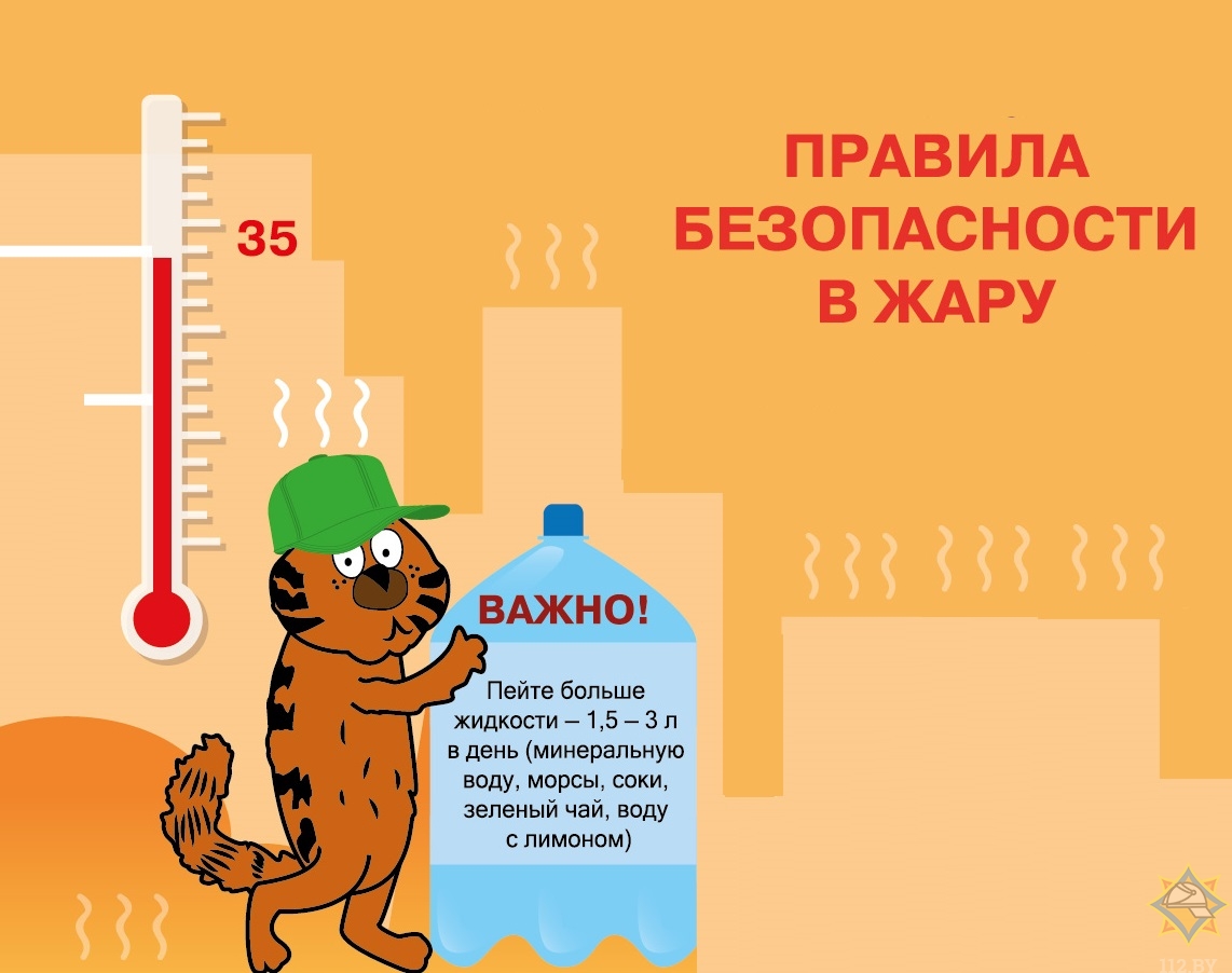 Жаркая погода! Правила поведения!.